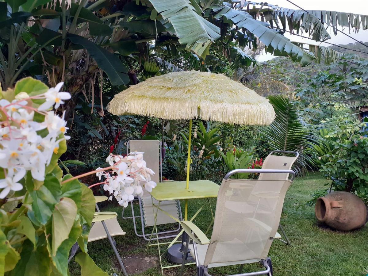 Bed and Breakfast Terrasse Du Piton à Deshaies Extérieur photo